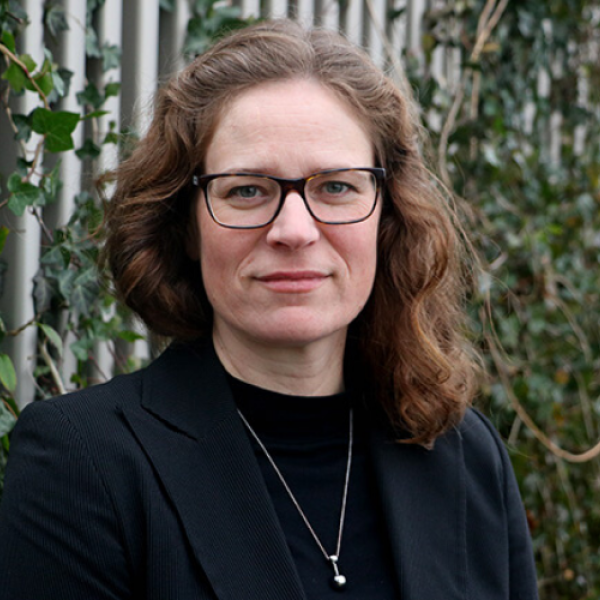 Professionals in Focus: Maria Engberg, Senior Lecturer at Malmö University
